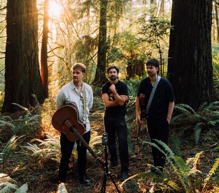 Three musicians from Amble with guitars in a forest