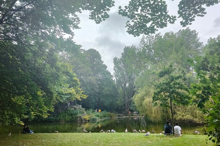 Image of St Stephens Green Park, Dublin, with seagulls wandering around the grass