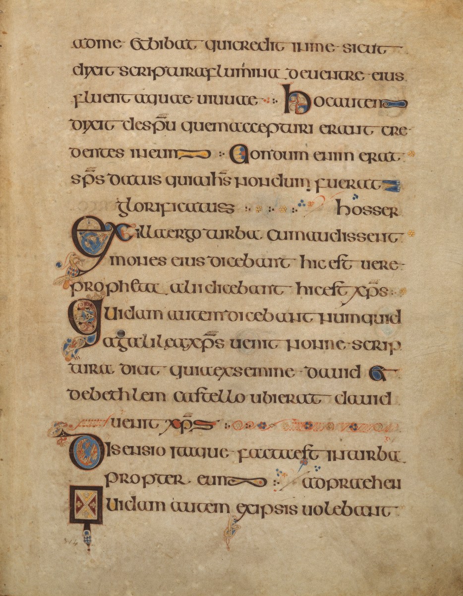 Book of Kells | Pages on Display at Trinity College Dublin