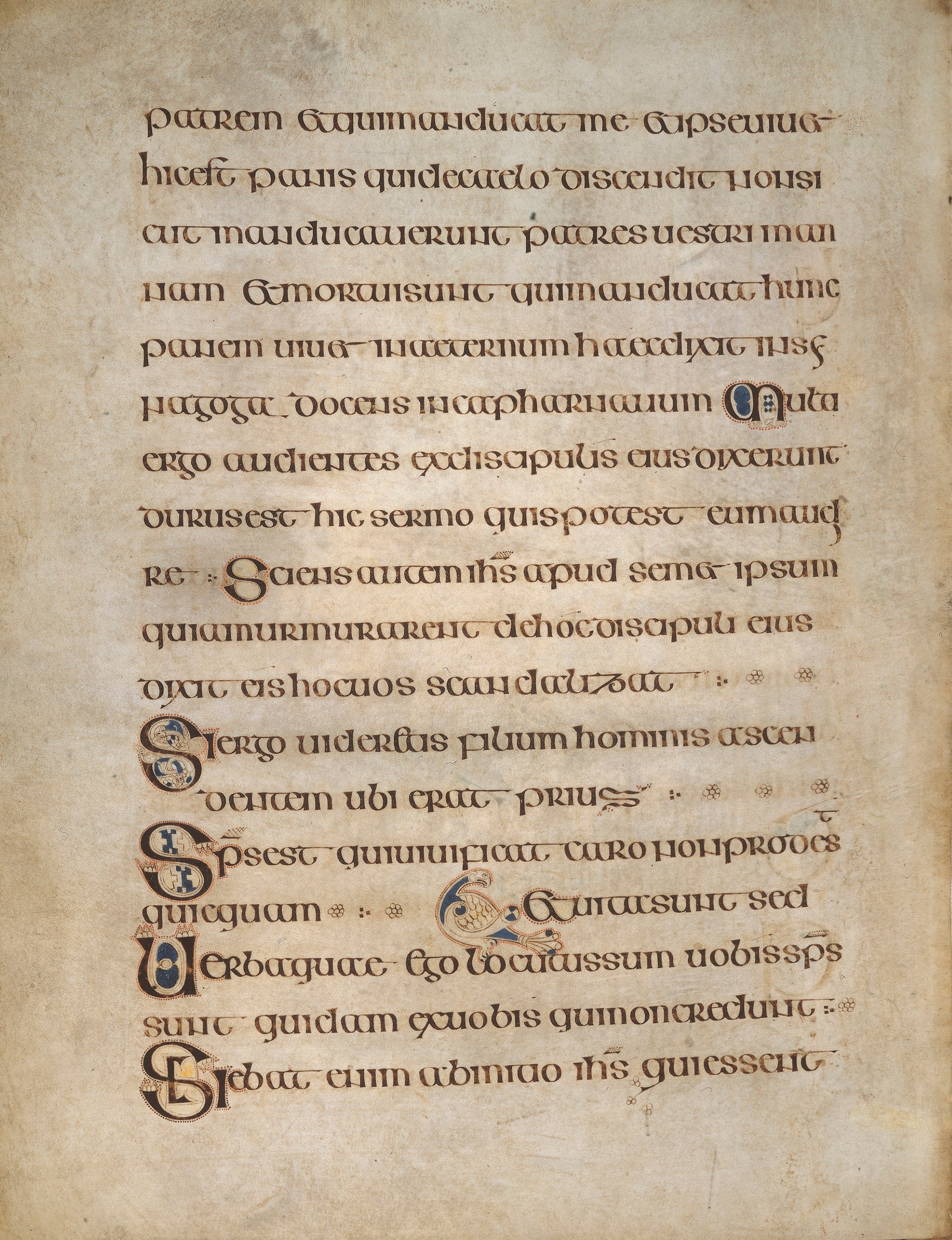 Book of Kells Pages on Display | Visit Trinity