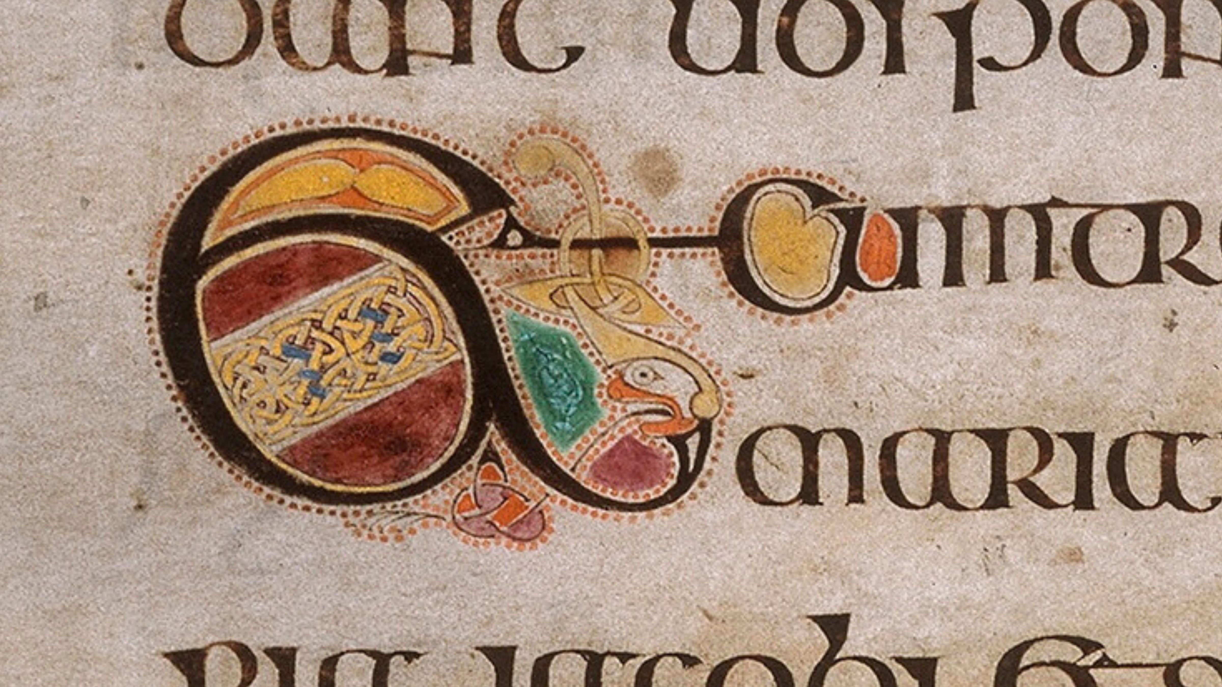 Book of Kells Pages on Display | Visit Trinity