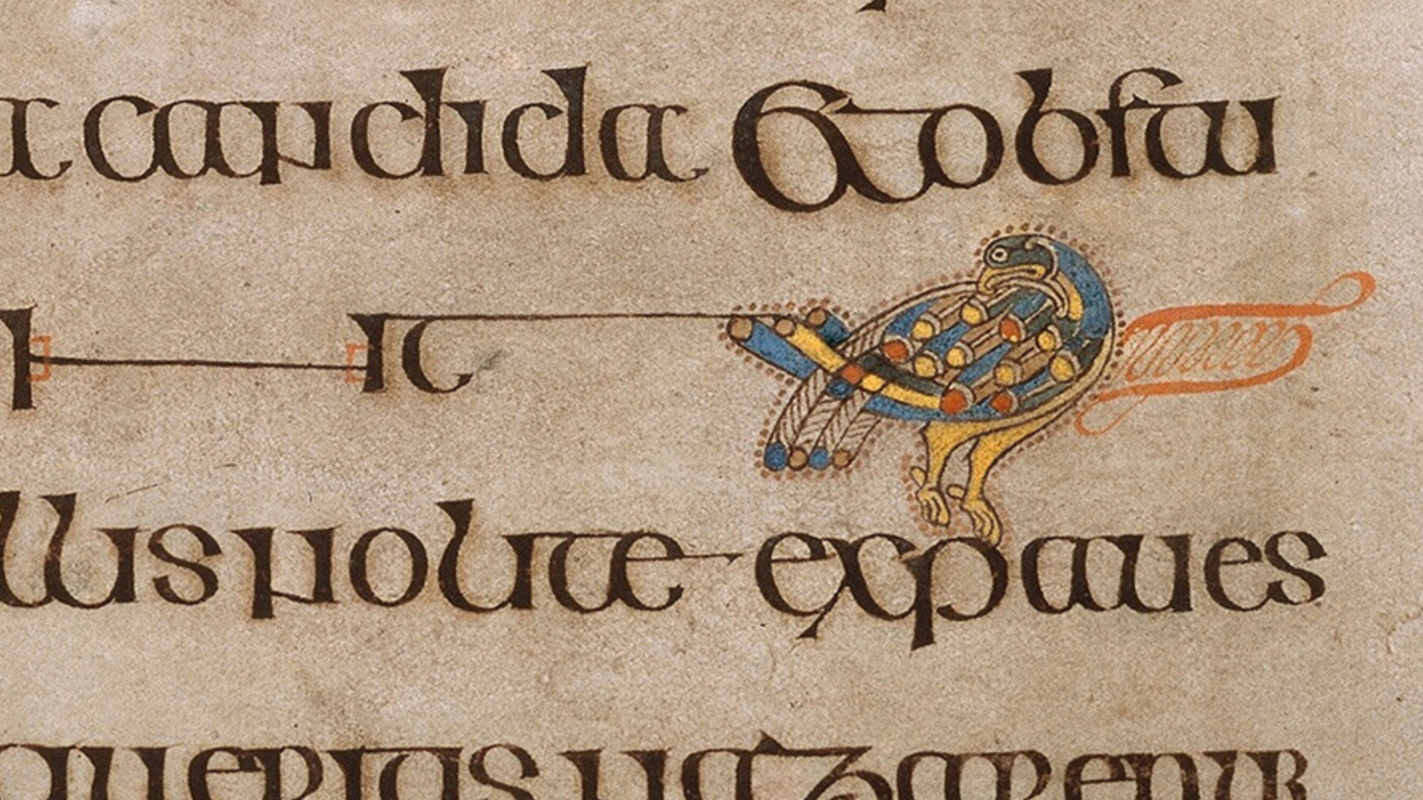Book of Kells Pages on Display | Visit Trinity