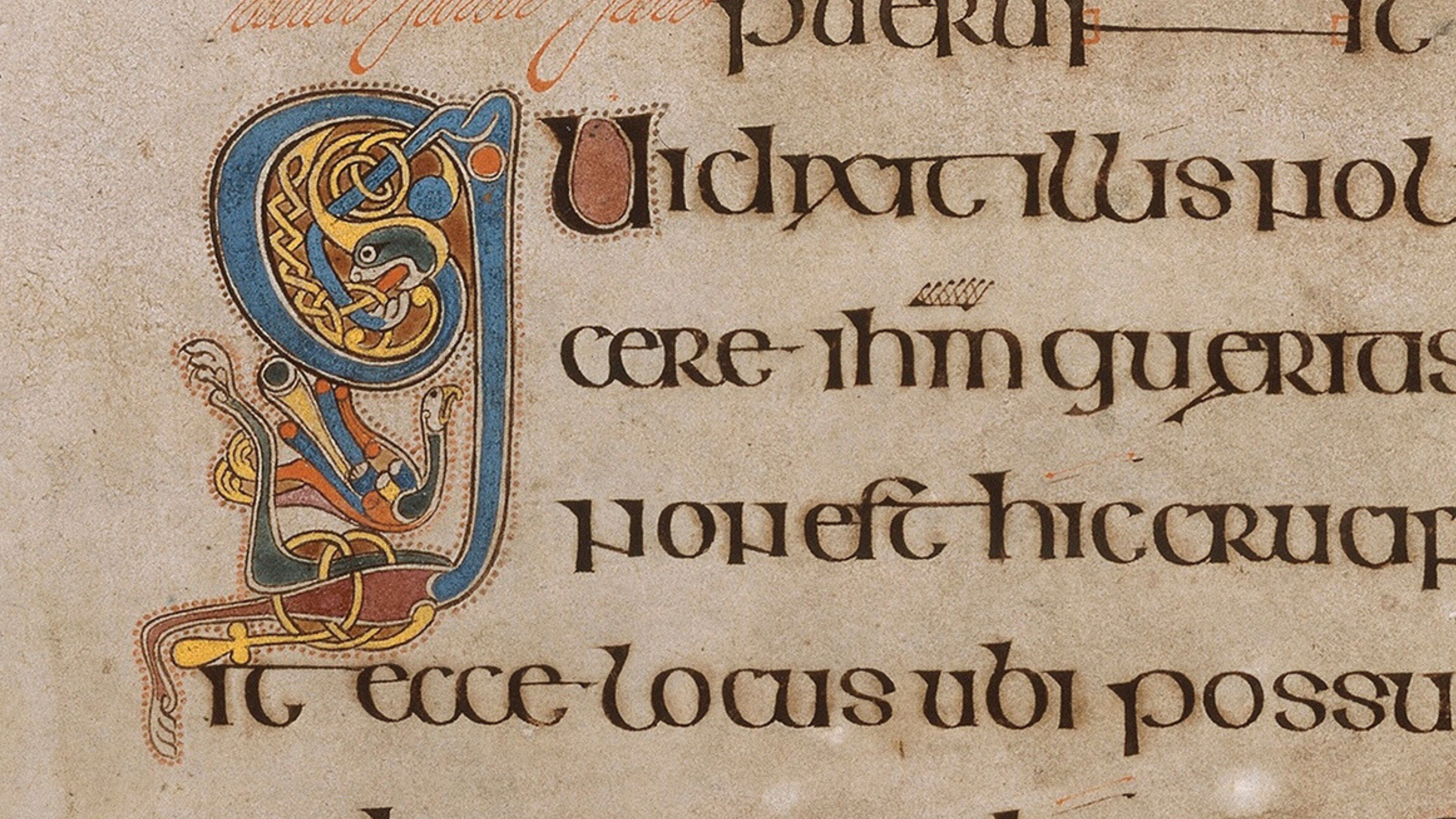 Book of Kells Pages on Display | Visit Trinity