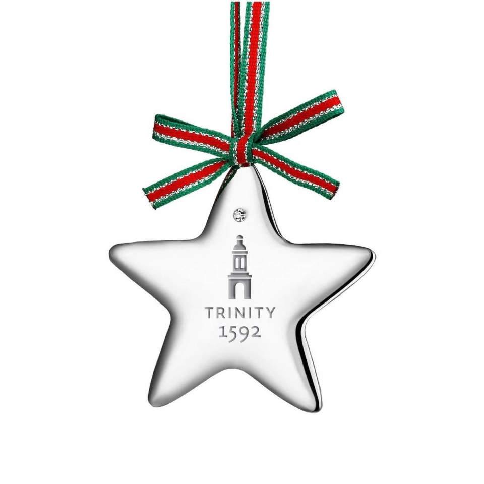 Silver Newbridge Star Christmas decoration with polished finish, displayed as part of a festive tree arrangement.